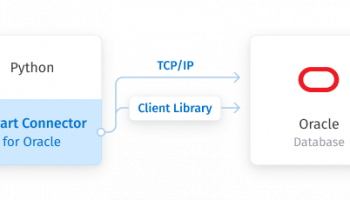 Oracle Python Connector by Devart screenshot