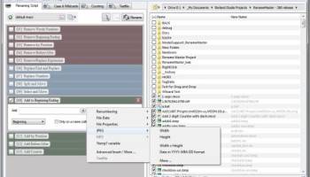 Rename Master screenshot