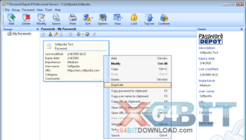 Password Depot Server screenshot