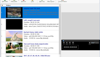 Video Converter Expert screenshot