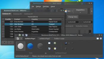 BusinessSkinForm screenshot
