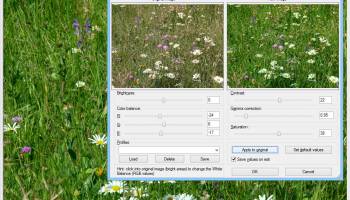 Irfan View screenshot