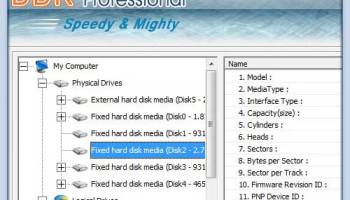 Professional Data Recovery screenshot