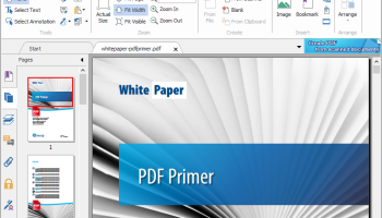 Portable Foxit Reader screenshot