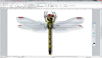 Canvas X Draw Windows screenshot