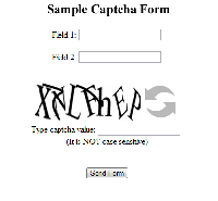 Briz ASP Captcha screenshot