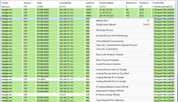 NoVirusThanks Connections Viewer screenshot