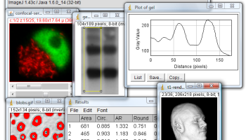 ImageJ screenshot