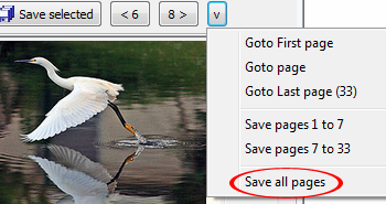 Flickr Downloader screenshot