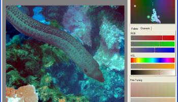 Palette Tune Lite screenshot