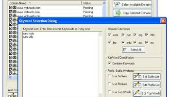 DNSS Domain Name Search Software screenshot