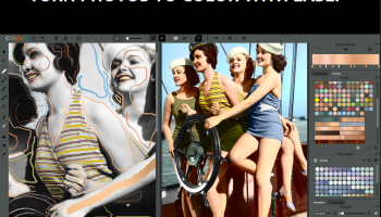 CODIJY Pro for Windows screenshot