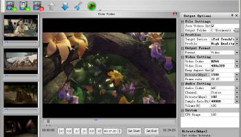iVideoBot Pro screenshot