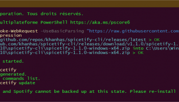 Spicetify screenshot