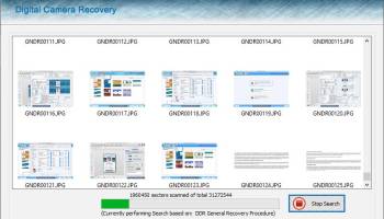 Digital Camera Picture Recovery screenshot
