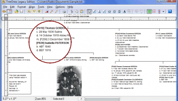 TreeDraw Legacy Edition screenshot