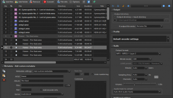 Pazera Free WMA to MP3 Converter screenshot