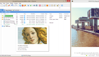 Portable XYplorer screenshot
