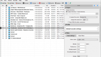 Pazera Free AVI to MP4 Converter screenshot