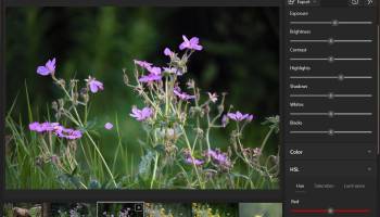 Fotografix screenshot