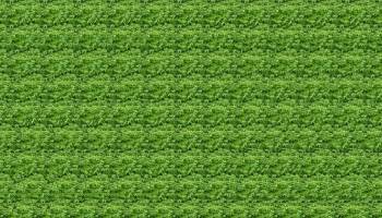 Stereogram Explorer screenshot