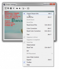 WebCamSplitter Pro screenshot