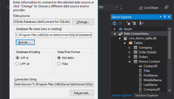 dotConnect for SQLite screenshot