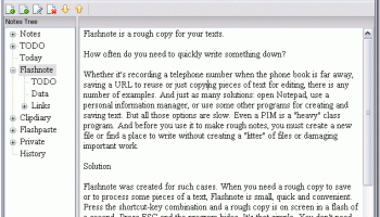 Portable Flashnote screenshot