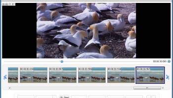 Free Video to GIF Converter screenshot