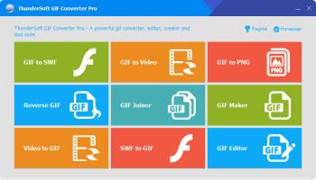 ThunderSoft GIF Converter Pro screenshot