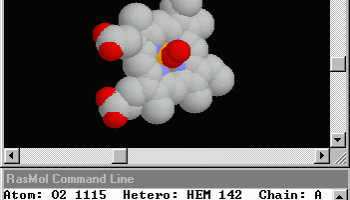 RasMol screenshot