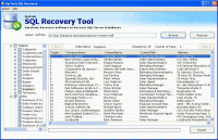 SQL 2008 r2 Database Recovery screenshot