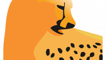 RideViewer screenshot