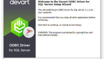 SQL Server ODBC Driver by Devart screenshot