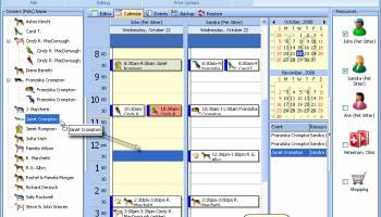 Pet Sitter screenshot