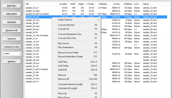 Total Video Audio Converter screenshot
