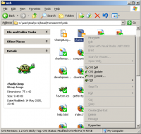 TortoiseCVS screenshot