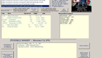 Horse Racing Neural Net Application screenshot