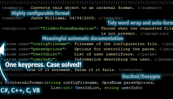 Atomineer Pro Documentation screenshot