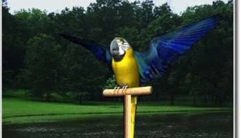 AV Digital Talking Parrot screenshot