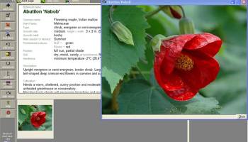 Plant Base screenshot