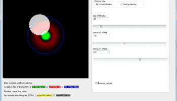 Neuron model RF-PSTH screenshot