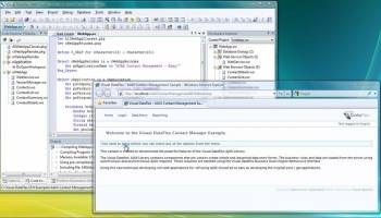Visual DataFlex Personal screenshot