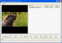 Flash to MPG Converter screenshot