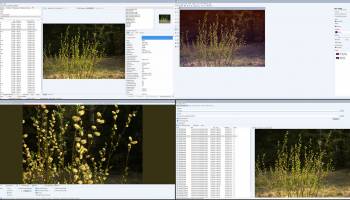 Portable WildBit Viewer screenshot