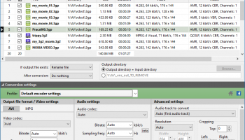Pazera Free 3GP to AVI Converter screenshot