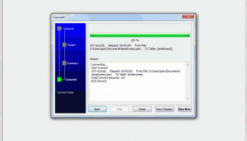 JsonToAccess screenshot