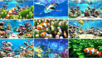 Sim Aquarium screenshot