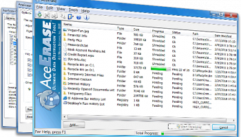 AceErase File Shredder History Eraser screenshot