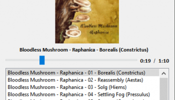 Vorbital Player screenshot
